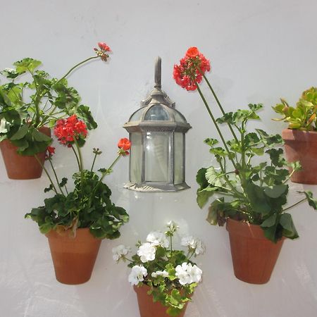 Apartament Junto A La Casa Natal De Picasso Malaga Zewnętrze zdjęcie