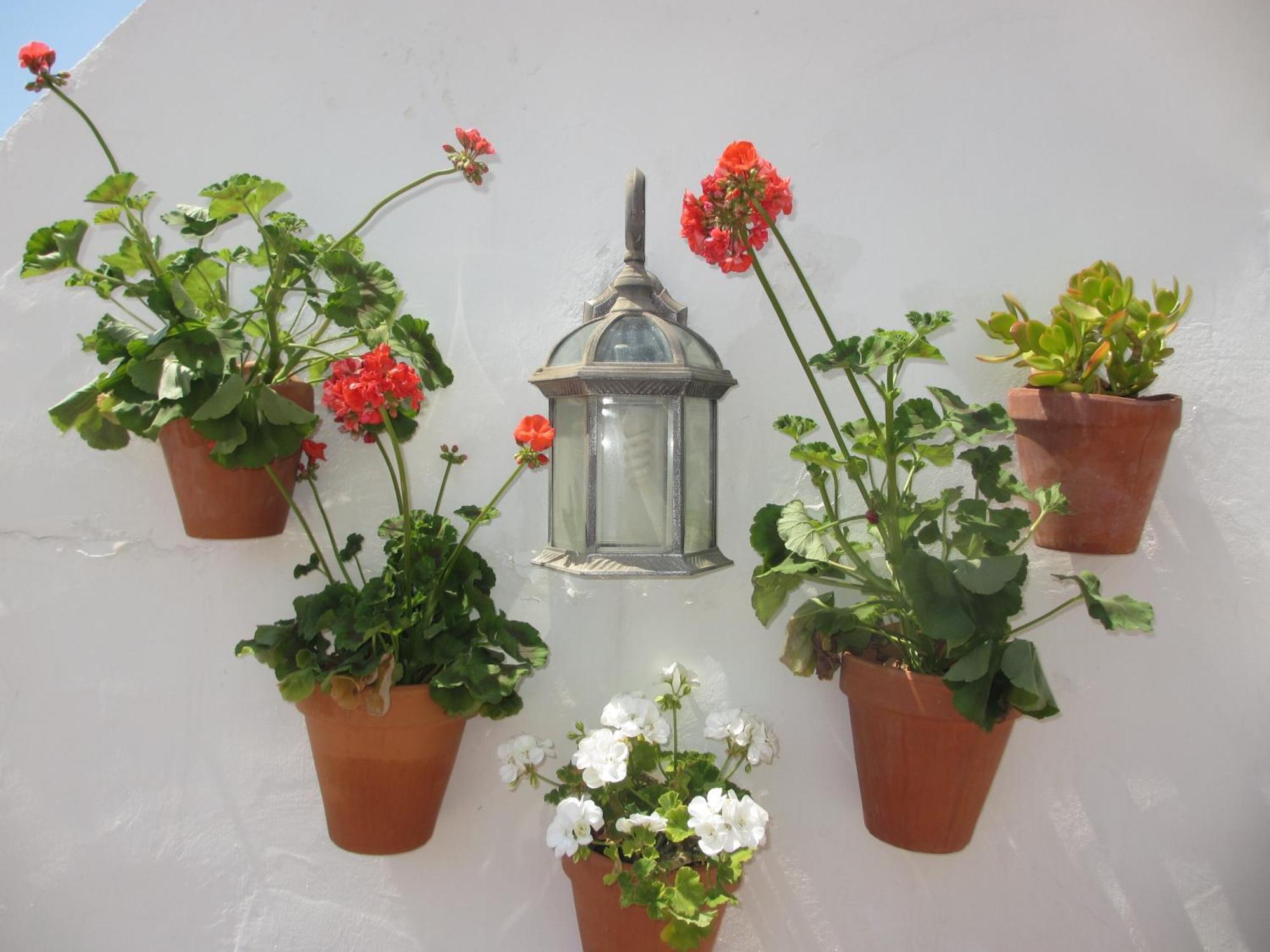 Apartament Junto A La Casa Natal De Picasso Malaga Zewnętrze zdjęcie