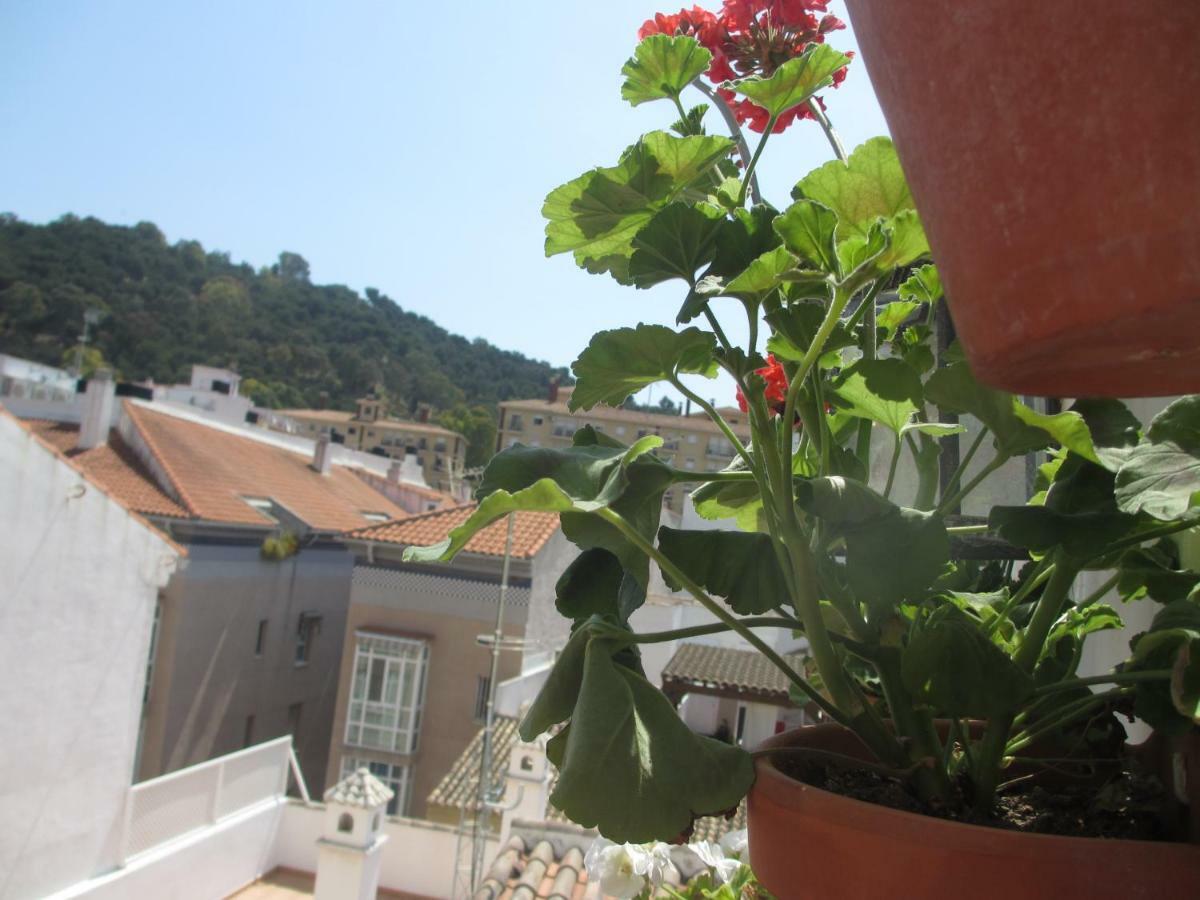 Apartament Junto A La Casa Natal De Picasso Malaga Zewnętrze zdjęcie